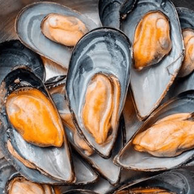 Mussels 
